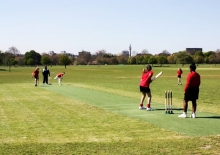 Cricket a parkban/ Cricket in the park